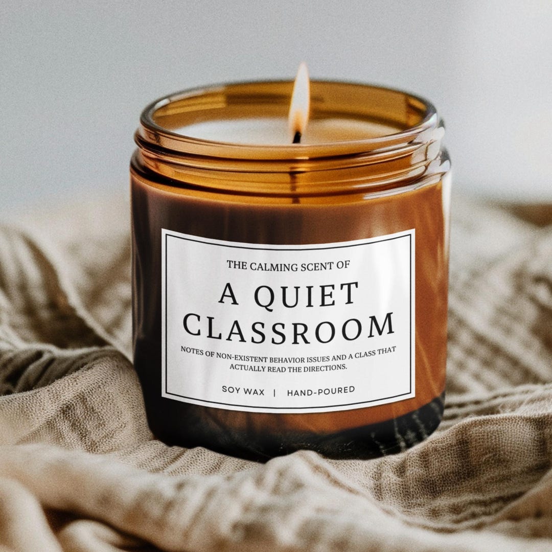 Teacher Appreciation Gift Funny Teacher Gift Classroom Candle for ...