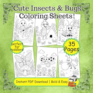 Easy Insect Coloring Book PDF | Bold Bug Pages for Kids & Adults | Fun Back to School and Activity | Creative Stress Relief Gift