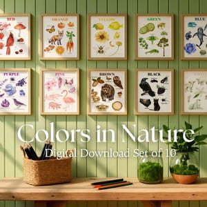 Colors in Nature Wall Art Set | Montessori Educational Posters | 10 Printable Prints for Nursery, Playroom & Classroom | Digital Download
