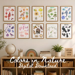 Naturfärgade posters set med 10, Montessori färgkartor, hemundervisning väggkonst, förskoleinlärning utskrivbar, klassrumsdekor, digital nedladdning