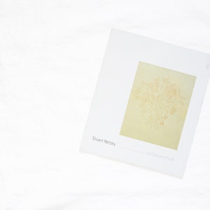 Stuart Netsky : Imitation of Life Book