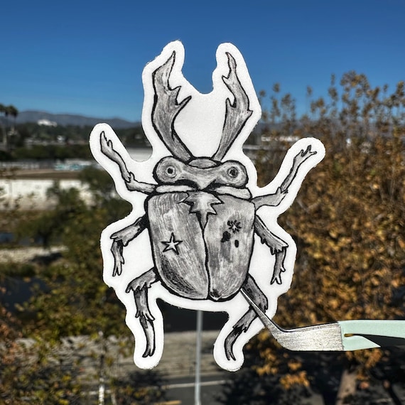 Matte Beetle Sticker: Durable Waterproof Vinyl Bug Decal. illustrated beetle design