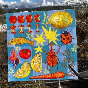Può includere: Un foglio di adesivi colorati con illustrazioni di frutta, verdura e insetti. Il design include mele rosse, un limone giallo, una coccinella, una carota e un pesce, il tutto su uno sfondo blu a scacchi.