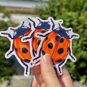 LADYBUG waterproof vinyl sticker // bug and beetle collection // high quality waterproof scratch resistant matte vinyl sticker decoration