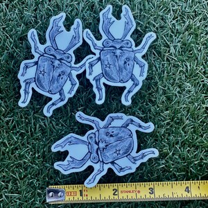 May include: Three beetle stickers with a hand-drawn style. The beetles are in shades of blue and gray, with star and dot details on their backs. A yellow measuring tape is at the bottom, showing inches.