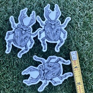 May include: Three beetle stickers with a hand-drawn style. The beetles are black and white with star and flower details. A yellow and silver measuring tape is in the bottom right corner.