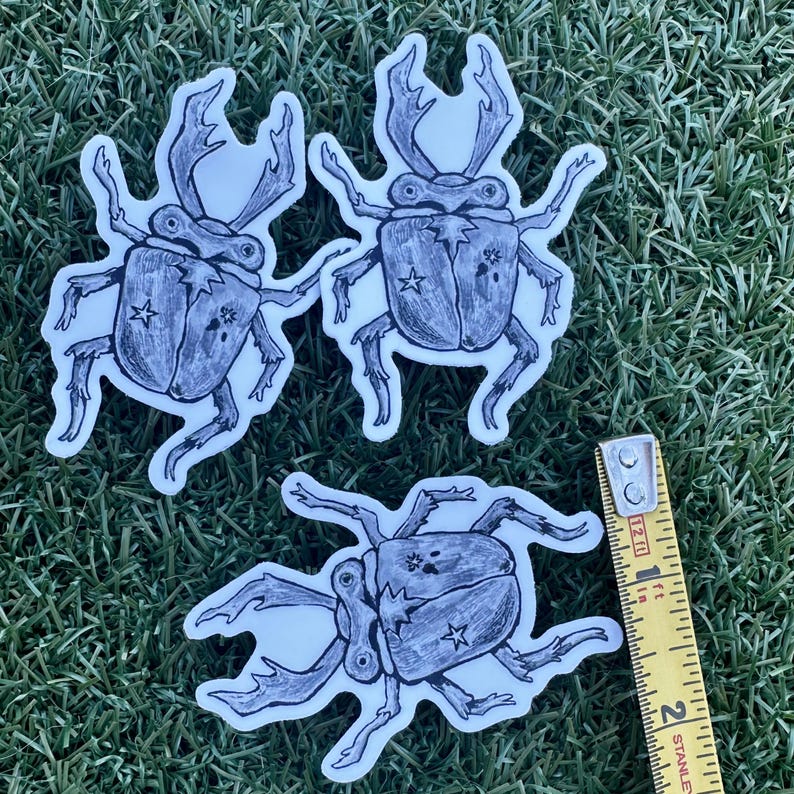 May include: Three beetle stickers with a hand-drawn style. The beetles are black and white with star and flower details. A yellow and silver measuring tape is in the bottom right corner.