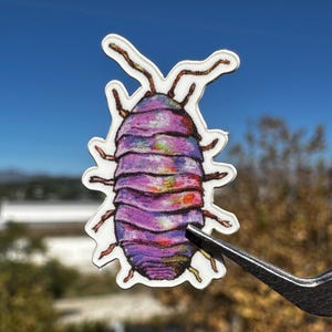 May include: A colorful sticker featuring a detailed illustration of a woodlouse, with a purple and multicolored body. The woodlouse has multiple legs and antennae, and is held by a pair of tweezers against a blue sky background.