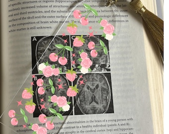 Acryl bladwijzer kersen en aardbeien met gouden kwastje | Bloemen doorzichtige bladwijzer | Leuk cadeau boekliefhebber coquette | Cottagecore-lezeraccessoire