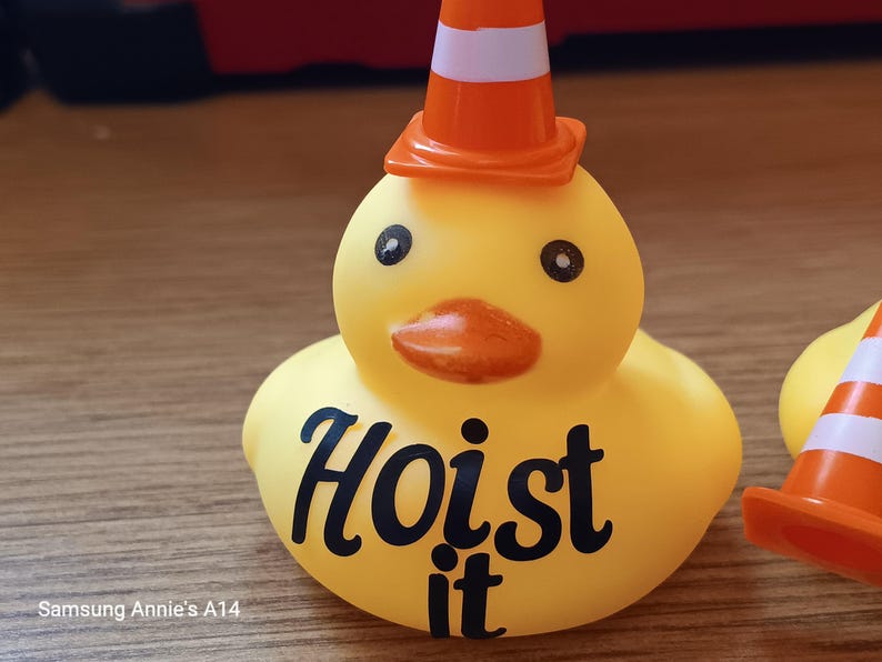 Op de afbeelding: Een gele rubberen eend met een oranje en witte verkeerskegel hoed. De eend heeft zwarte ogen en een oranje snavel. De woorden "Hoist it" staan in het zwart op het lichaam van de eend.