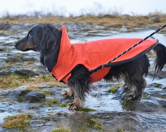 Dachshund Raincoat • Waterproof Warm Fleece Lined Coat • Neck Coverage