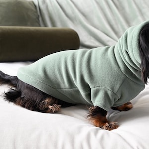 Puede incluir: Un perro salchicha negro y fuego con una sudadera con capucha verde salvia. El perro está sentado sobre una superficie blanca, con cojines verde salvia en el fondo. La sudadera tiene capucha y cubre el cuerpo del perro.