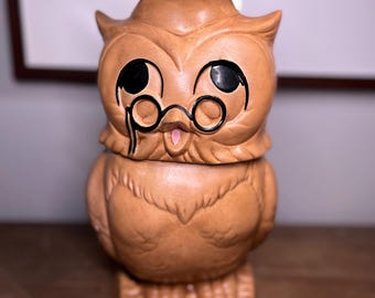 Twin Winton Wise Owl-koektrommel | Vintage MCM-keramiek uit de jaren 70 | Verzamelobject keukendecor uit het midden van de eeuw