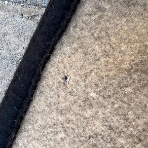 Op de afbeelding: Een beige mat van gevilt wol met een dikke, donkerzwarte rand langs de linkerkant. Het oppervlak van de mat heeft een dichte, vezelige textuur met een klein donker vlekje zichtbaar nabij het midden van het beige gedeelte in close-up.