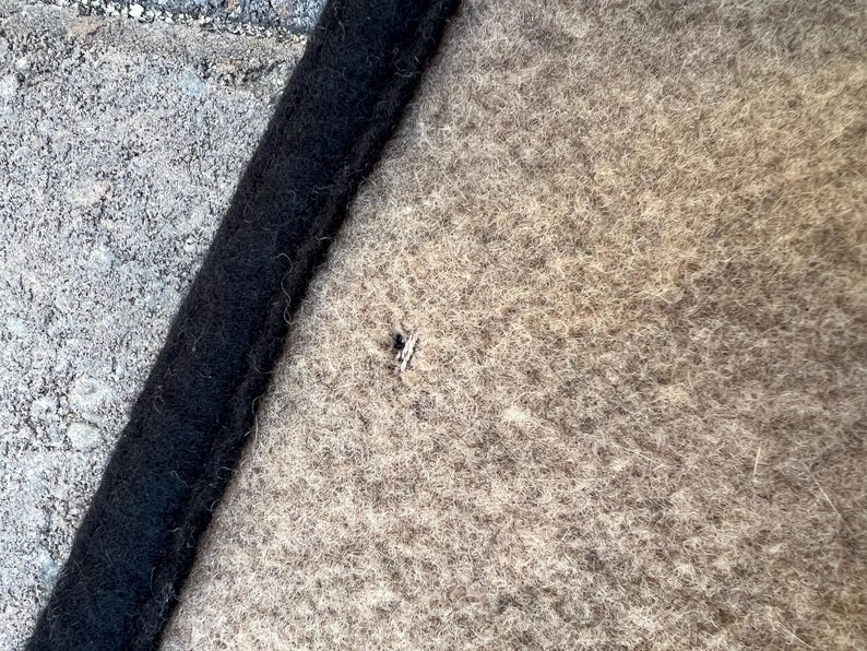 Op de afbeelding: Een beige mat van gevilt wol met een dikke, donkerzwarte rand langs de linkerkant. Het oppervlak van de mat heeft een dichte, vezelige textuur met een klein donker vlekje zichtbaar nabij het midden van het beige gedeelte in close-up.