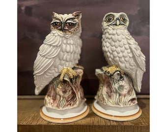 イタリア陶器 フクロウの置物 ピアネタ セラミカ ヴィエトリ陶器