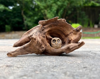 Driftwood Burl with Carved Owl Figurine — Natural Hollow Log, One of a Kind Vintage · Sculpture & Figurine · Natural Wood Art