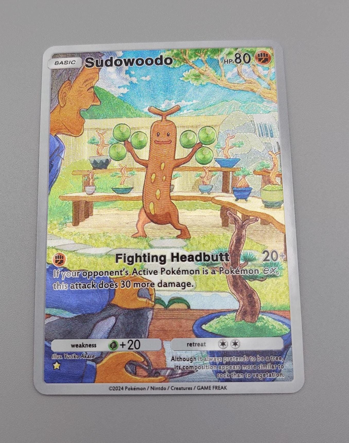 pokemon card registeel ex Pokmon TCG Registeel EX 99/101 Hidden Legends Cracked Ice Holo Rare