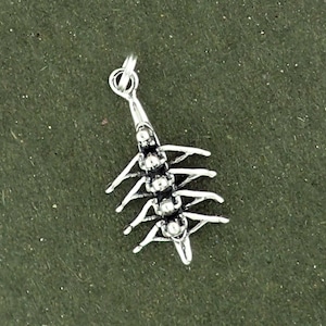 May include: A silver charm in the shape of a centipede with a loop at the top for attaching to a bracelet or necklace.