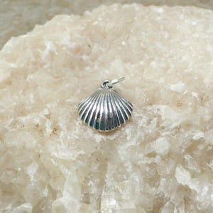 May include: A silver seashell charm with a detailed, ribbed texture. The charm is perfect for adding a touch of coastal style to jewelry.