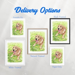 May include: Watercolor painting of a Golden Retriever dog lying in a field of green grass and small white flowers. The image is available as a printable file, framed in white, natural, and black frames, and as paper only. Text reads "Delivery Options".