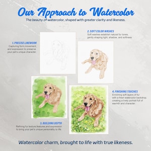 May include: An infographic titled Our Approach to Watercolor detailing four steps: 1. Precise Linework, 2. Soft Color Washes, 3. Building Depth, and 4. Finishing Touches. Each step features a golden retriever illustration showing the artistic progression.