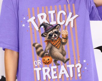 Trick or Treat Raccoon Shirt, Comfort Colors Halloween Tee, Cute Trash Panda Pumpkin Graphic, Retro Fall Shirt, Spooky Season Gift