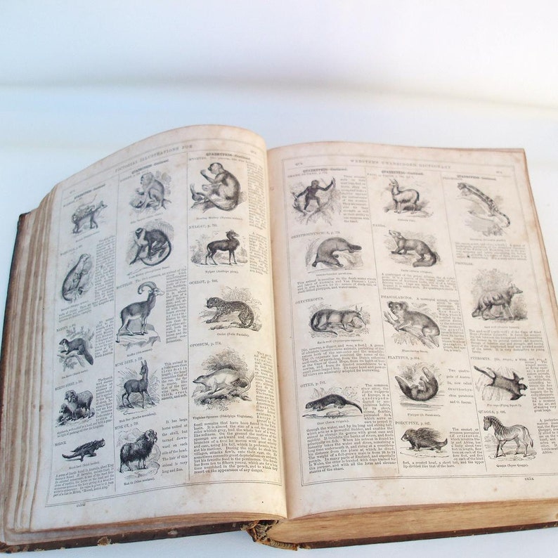 Antique sters Dictionary 1860 Pictorial Edition American Etsy