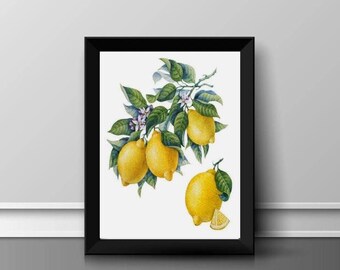 Set Di 6 Stampe Artistiche Da Parete Con Frutta – Poster Vintage Con Limoni – 20x25 Cm – Tela Di Alta Qualità, Decorazione Per Cucina, Soggiorno, Camera Da Letto