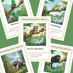 May include: A set of illustrated cards labelled "Discovering God's Nature." Each card depicts a different animal in a jungle environment, including a bird, frog, anteater, and monkey. The cards also feature Bible verses.