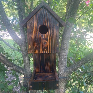 Birdhouse feeder combo