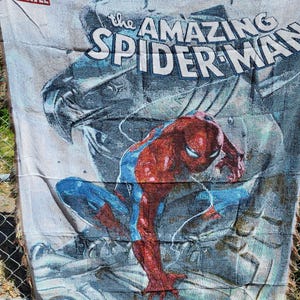 Spiderman Annual #1 Tapestry blanket image 1