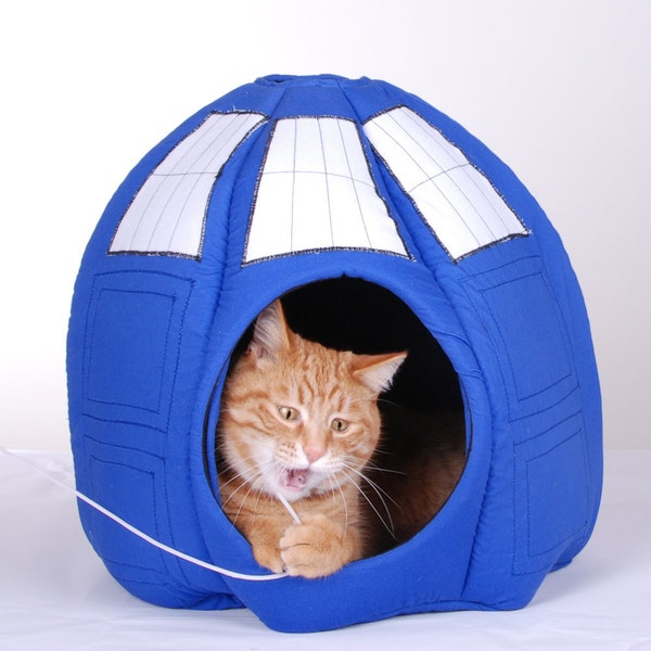 TARDIS Contraption for the Feline - Prototype Model