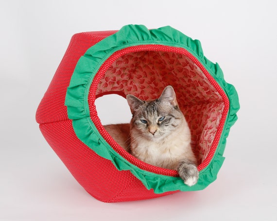 strawberry cat bed