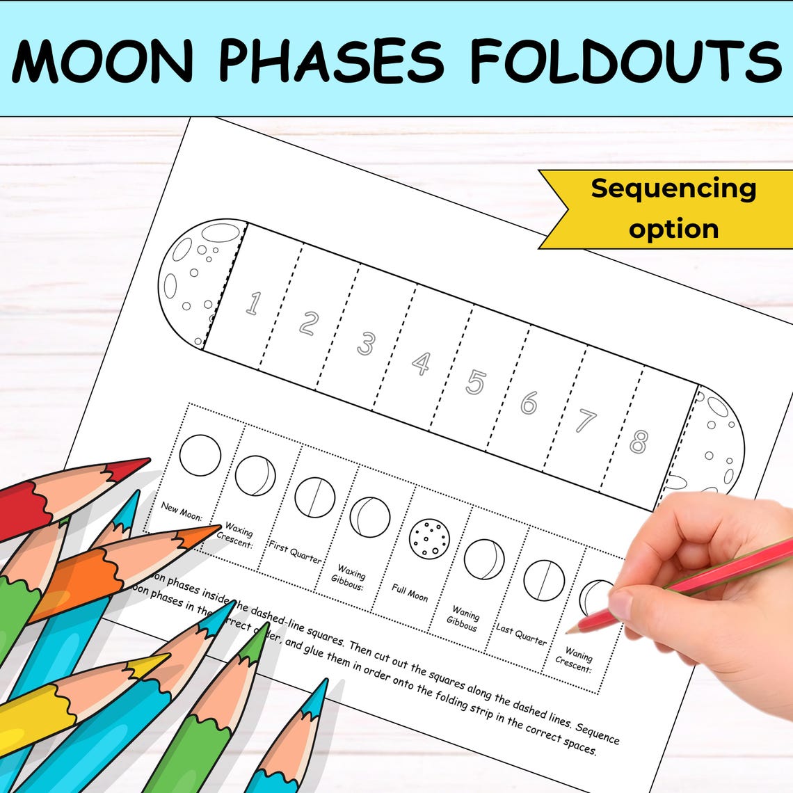 Phases of the Moon Foldout Craft – Moon Phases Worksheet | Lunar Cycle ...