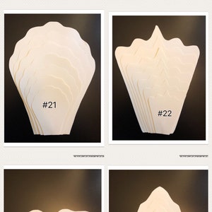 HARD COPY #21-48, Paper Flower Templates you choose DIY giant flowers, backdrop, decor