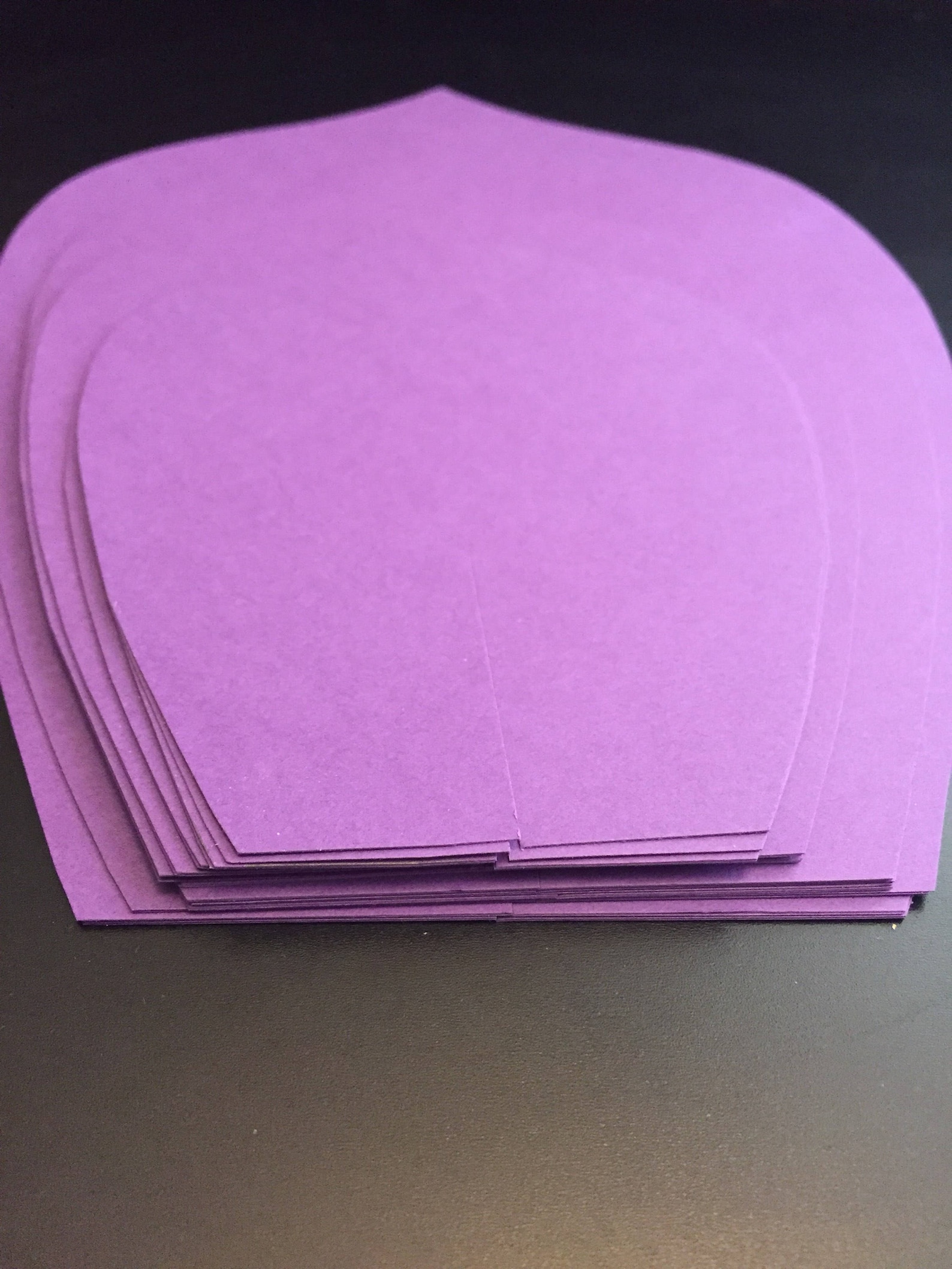 LARGE Paper Flower Kit DIY Paper Flower Kit You Choose Flower Etsy