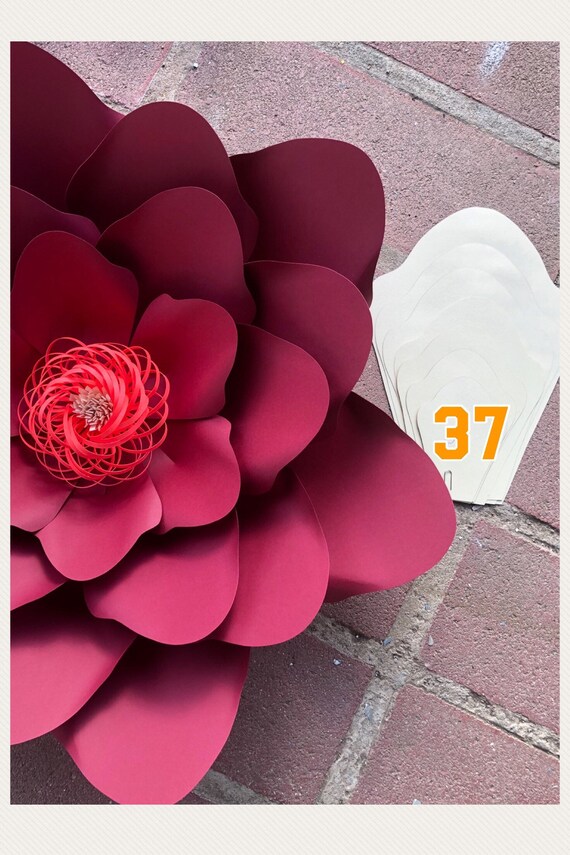 diy paper flower hard copy template 37 paper flower backdrop paper flower petals diy paper flower backdrop