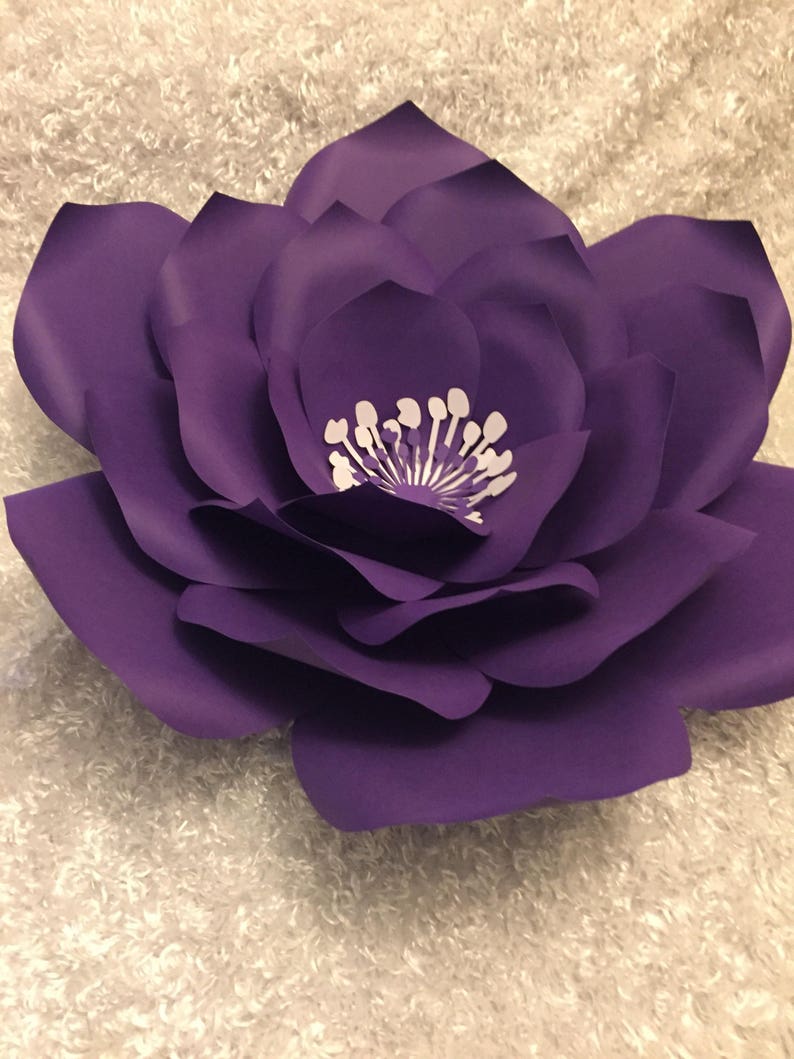 Paper Flower KITS DIY Paper Flower Kits Etsy