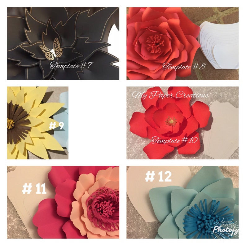 EXTRA LARGE Paper Flower Kit DIY Paper Flower Kit You Choose Etsy