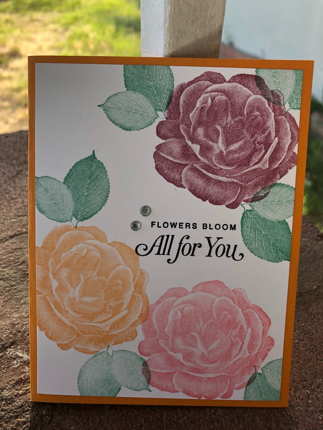 Any Occasion Cards, Blank Cards, Set of 4, Stampin up Healing Hugs ...