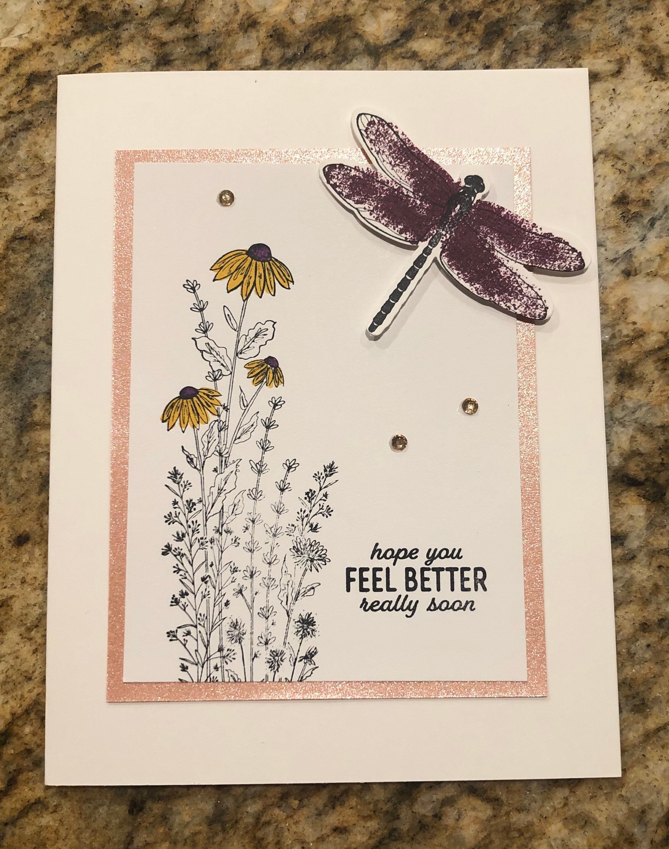 Dragonfly Garden Stampin Up - Etsy