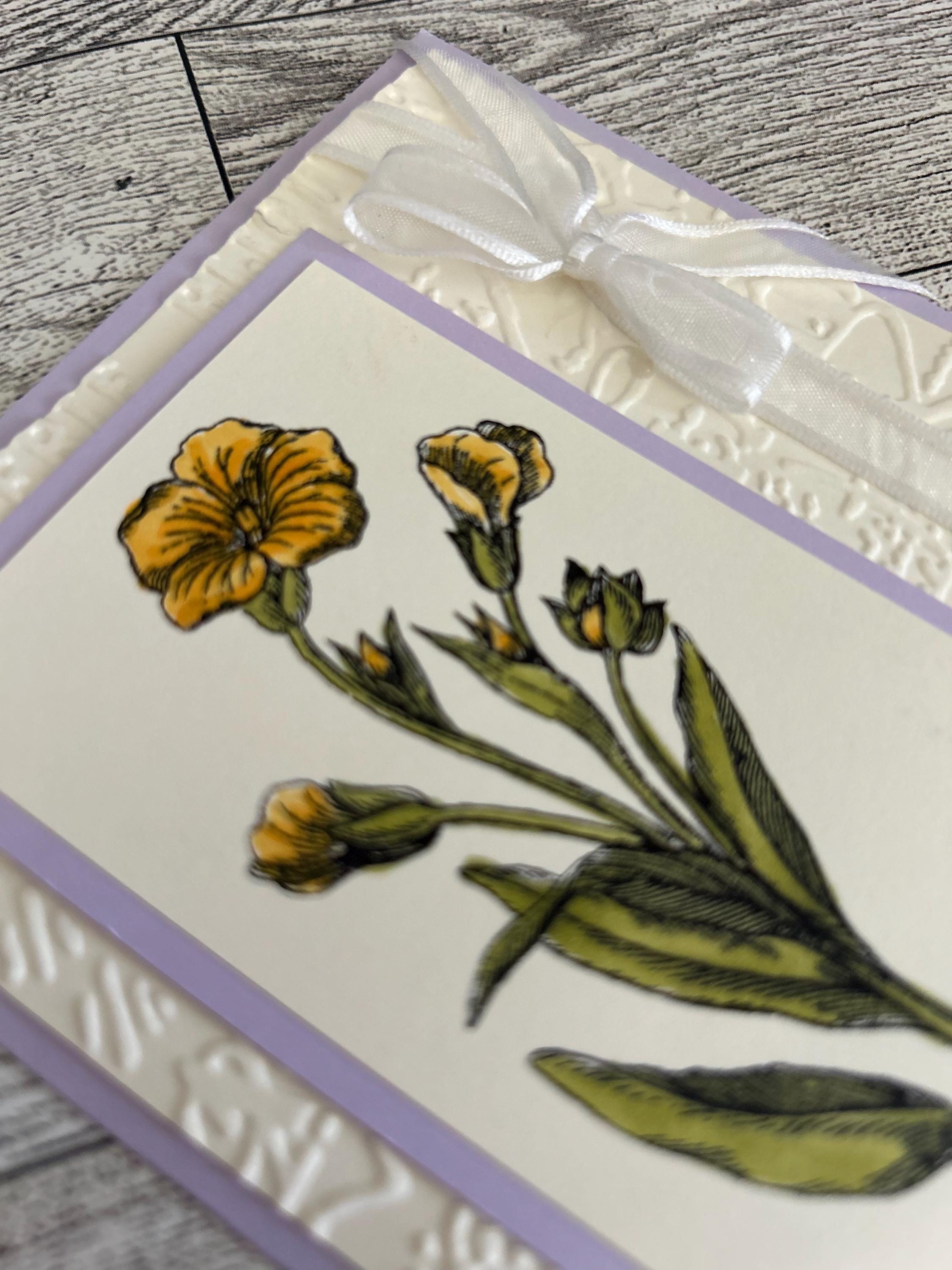 Any Occasion Cards Set of 4 Stampin' Up! Butterfly Basics Flowers Hand ...
