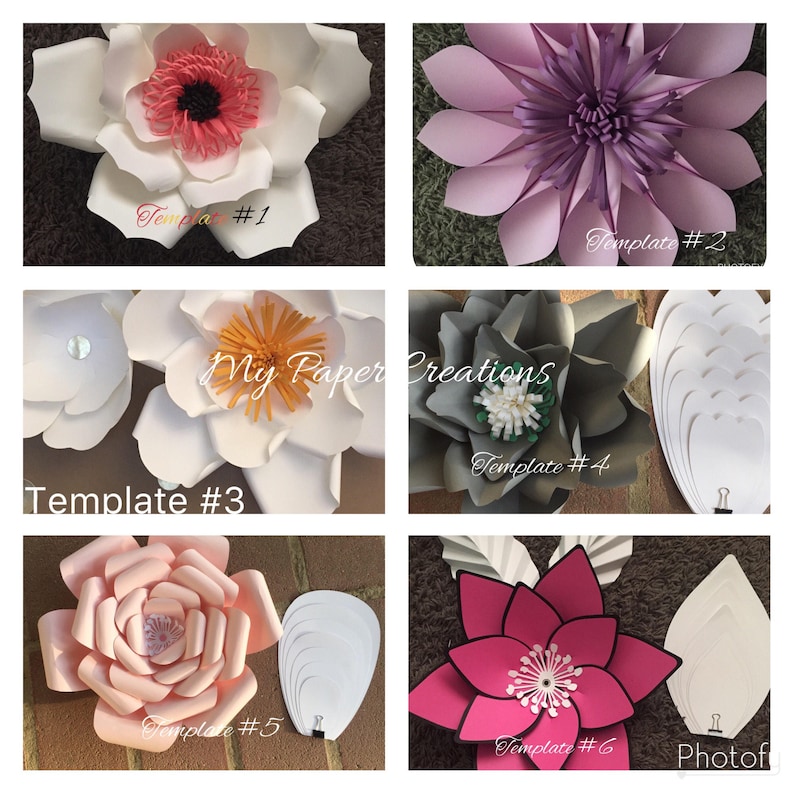 LARGE Paper Flower Kit DIY Paper Flower Kit You Choose Flower Etsy