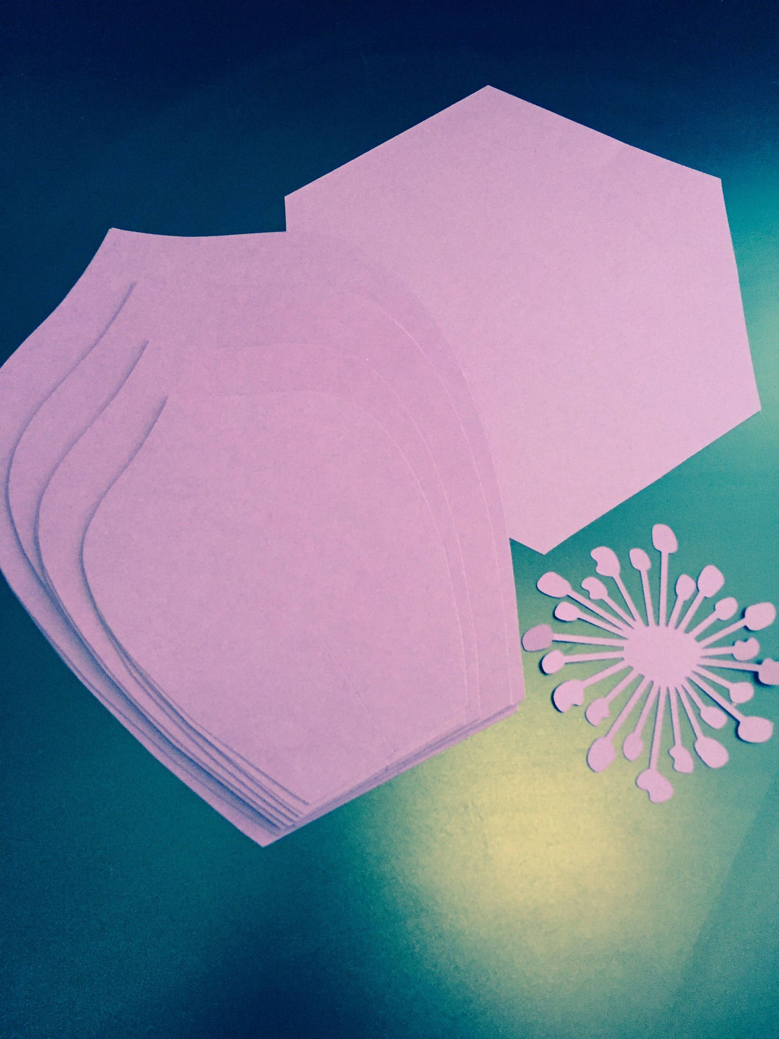 LARGE Paper Flower Kit DIY Paper Flower Kit You Choose Flower Etsy