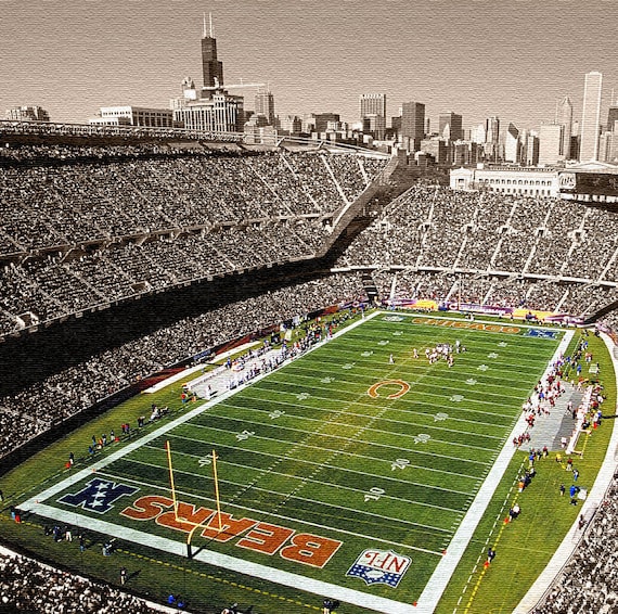 Chicago Bears Seating Chart View