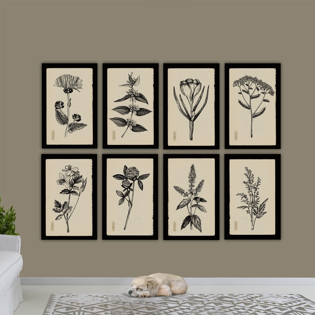 Vintage Botanical Herbs on Canvas, Black Borders Creme Background