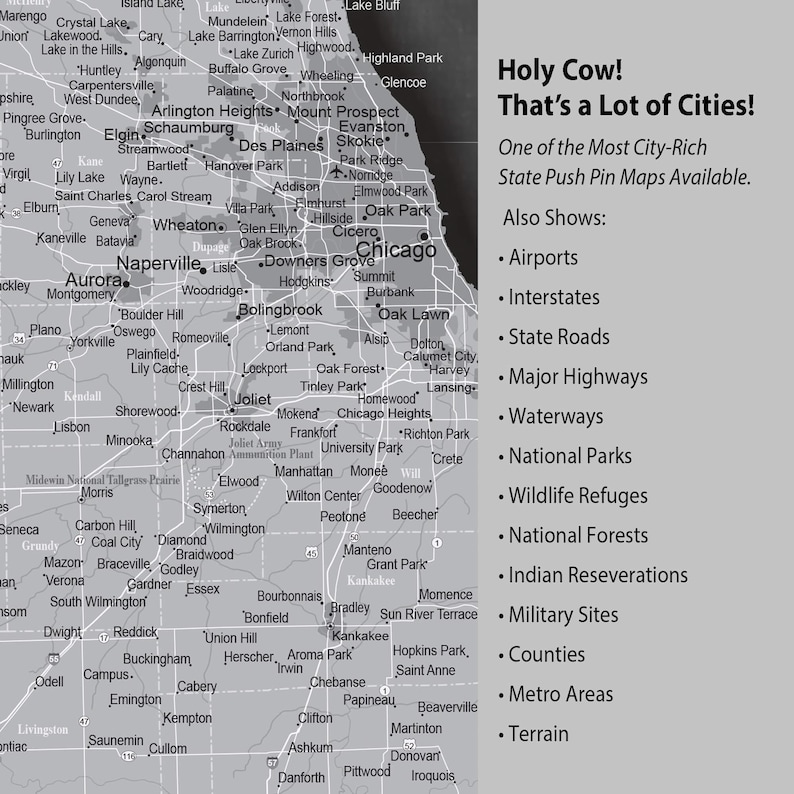 GREY Illinois Push Pin Map, Personalized Illinois State Map, Upscale