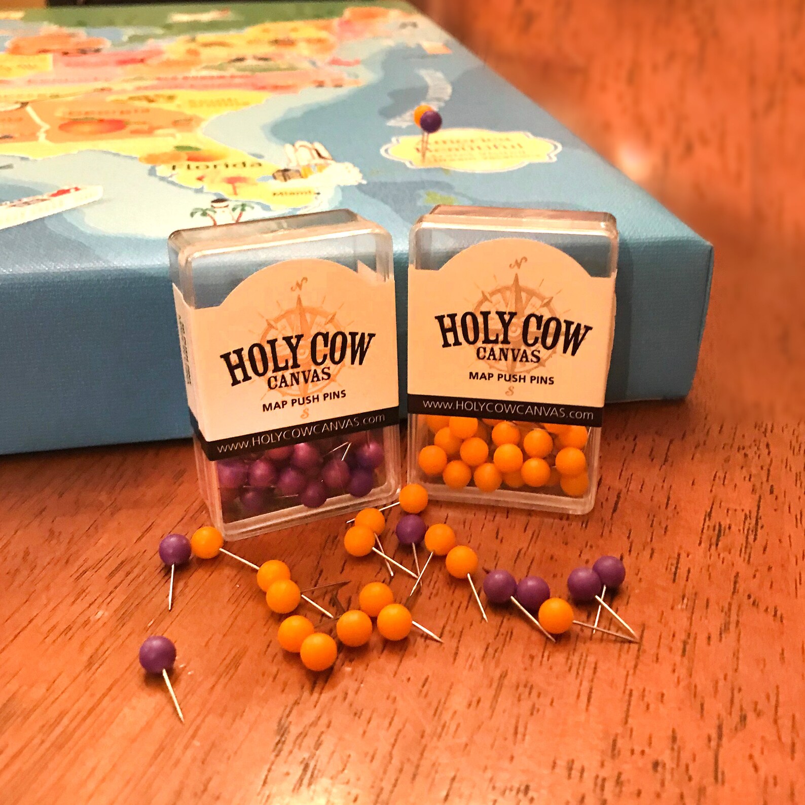 Push Pin Kids USA Map Personalized Wall Art Canvas Etsy