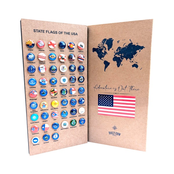 United States State Push Pins - Il 600x600.6178366906 Nyhp 